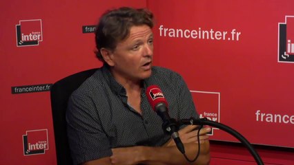 Axel Decourtye : "40% des espèces d'abeilles sauvages sont en voie de disparition"
