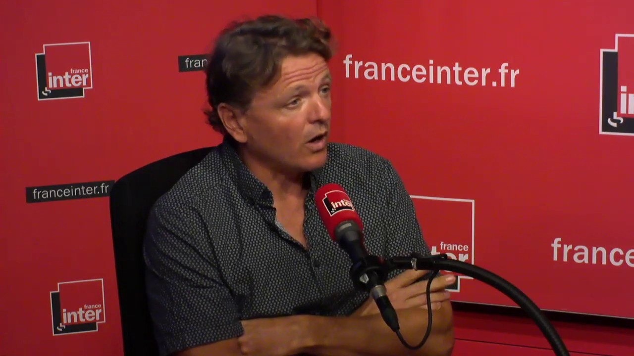 Axel Decourtye : "40% des espèces d'abeilles sauvages sont en voie de disparition"