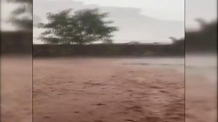Suudi Arabistan'da Şiddetli Yağmur Sele Dönüştü