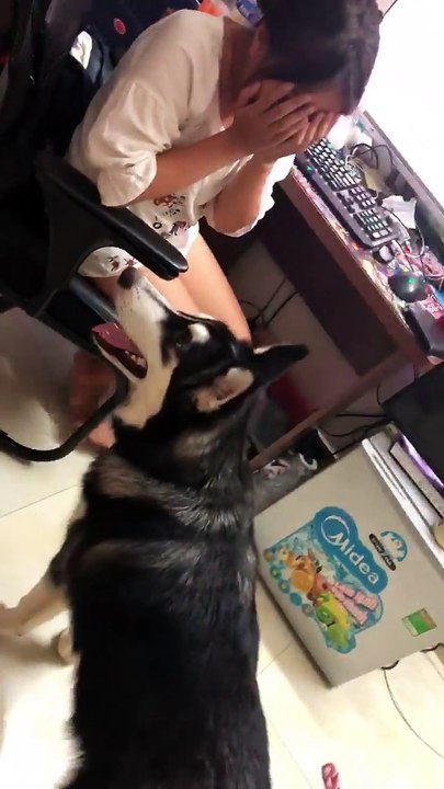 Puppy becomes upset when his owner gets emotional