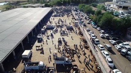 Diyarbakır'da Kurbanlıklar Zararına Satılıyor