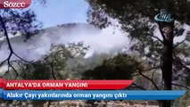 Antalya’da orman yangını