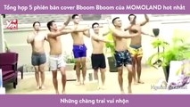 Tổng hợp 5 phiên bản cover Bboom Bboom của MOMOLAND hot nhất mạng xã hội