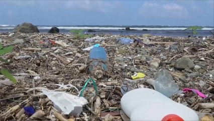 هذا الصباح- مبادرة فردية لإنقاذ البحر الأسود من التلوث