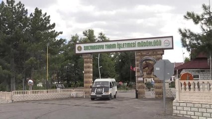 Milyonluk Atların Fedakar Bakıcısı "Oktay Çavuş"
