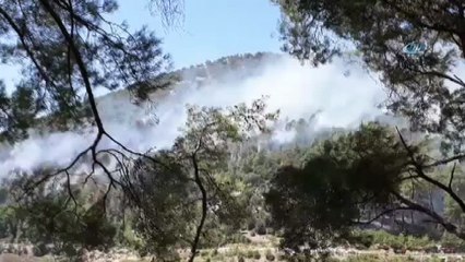 Antalya'daki orman yangını kontrol altına alındı