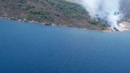 Cunda Adası'nda Orman Yangını
