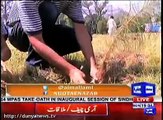 چیف آف آرمی سٹاف قمر جاوید باجوہ نے شجر کاری مہم کا آغاز کر دیا ، پاک آرمی کا مثالی کام، اب ہو گا پاکستان سرسبز و شاداب اور کشادہ