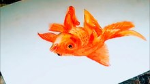 drawing  Gold Fish Colored