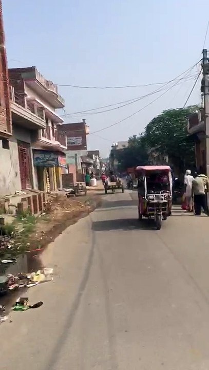 A horse running free through the streets of an...