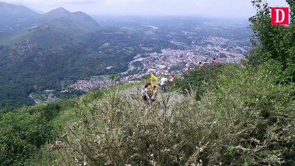Hautes-Pyrénées : Les buis sont envahis par les chenilles Pyrales
