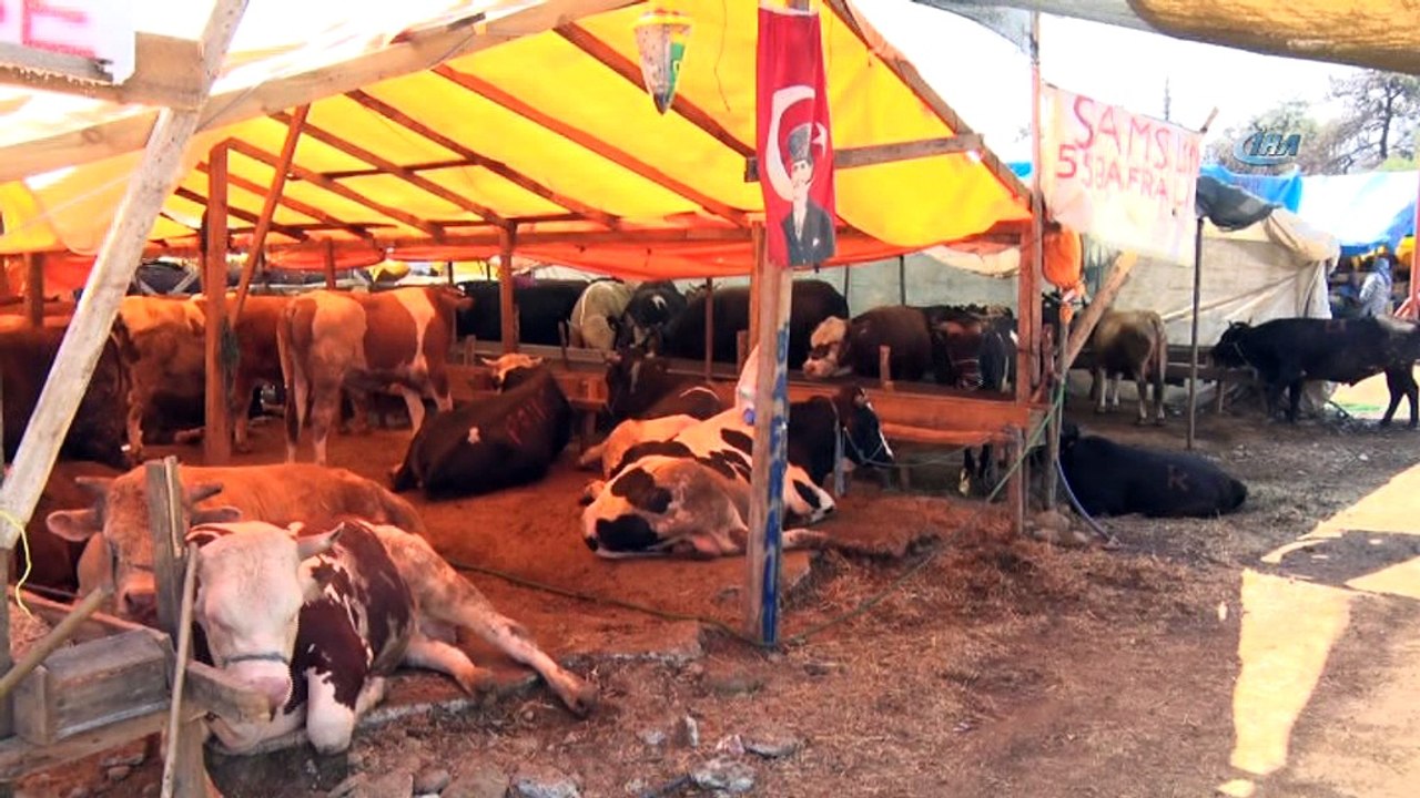 Başkan Dündar kurban pazarını gezdi