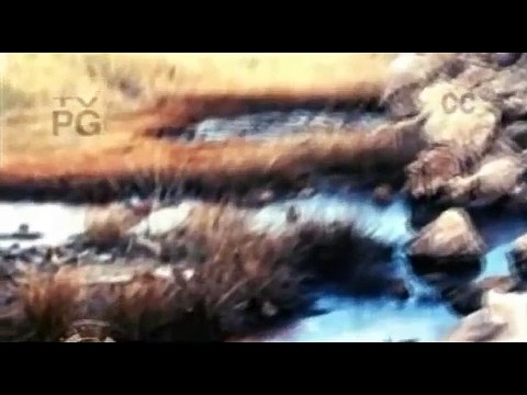 Mega Engineering Disasters 13