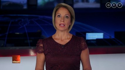 A vakvezető kutyát elütő nő szerint ő nem hibázott, mert az állat ment neki az autójának