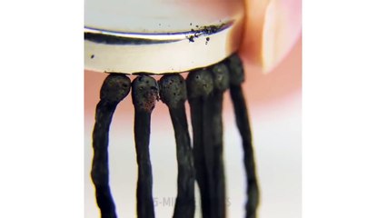 15 EXPÉRIENCES À COUPER LE SOUFFLE QUE TU PEUX FAIRE À LA MAISON