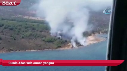 Cunda Adası'nda orman yangını