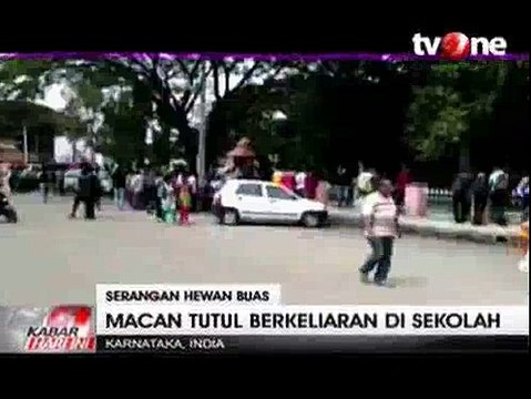 Seekor Macan Tutul Hebohkan Sekolah di India