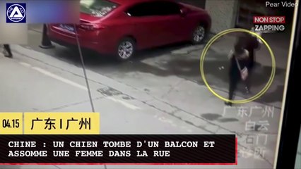 Chine : une jeune femme assommée par un chien tombé d'un immeuble (vidéo)