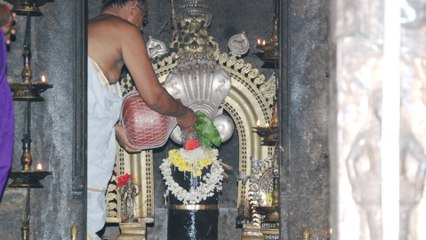 ಸಹಸ್ರಲಿಂಗೇಶ್ವರದಲ್ಲಿ ನೇತ್ರಾವತಿ-ಕುಮಾರಧಾರ ಸಂಗಮ..! | Oneindia Kannada