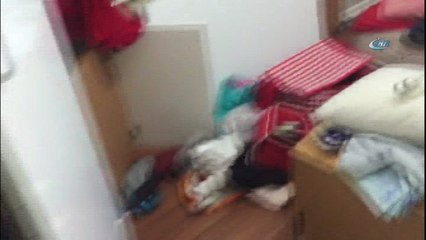 Zehir tacirleri ektikleri kenevirlerle yakalandı