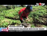 Pondok Pesantren Ini Mengajari Santrinya Ilmu Bertani