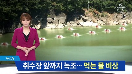 낙동강·대청호 등 ‘녹조 습격’…먹는 물도 비상