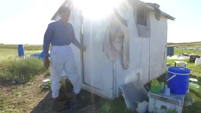 Gezgin Arıcıların 8 Aylık Zorlu Mesaisi (1)