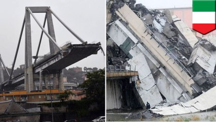 Bridge collapses during violent storm in Italy