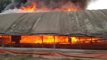 청주 양계장에서 불...닭 만여 마리 폐사 / YTN