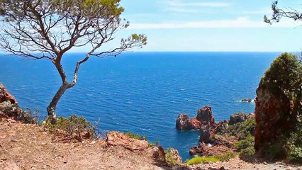 A vendre - Appartement - LA VALETTE DU VAR (83160) - 4 pièces - 75m²