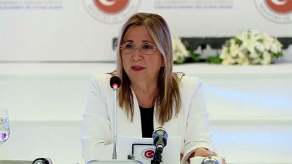 Ticaret Bakanı Pekcan: 'Bize uygulanan yaptırımlara 533 milyon dolarlık ek vergi yüküyle karşılık vermiş durumdayız' - ANKARA