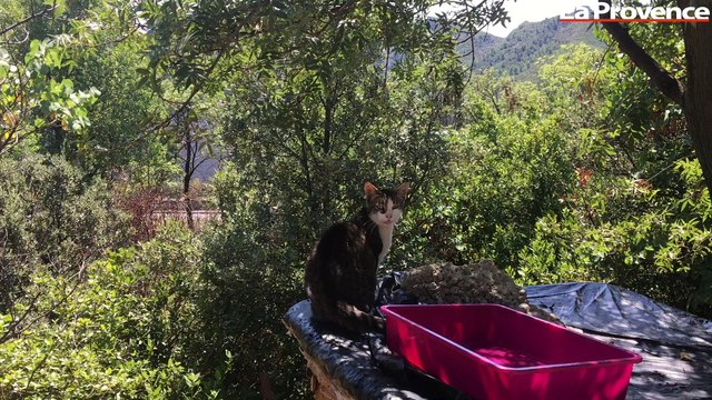 Quand les refuges doivent gérer les aléas climatiques