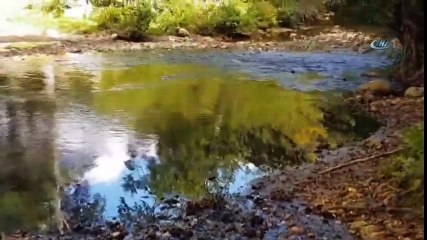 Dereye Resmi Araçla Kanalizasyon Atığına Jet Soruşturma