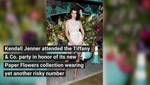 Kendall Jenner Frees The Nipple In A Naked Dress - Hires