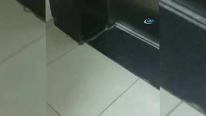 Adana Büyükşehir Belediyesi'nde Yılan Paniği