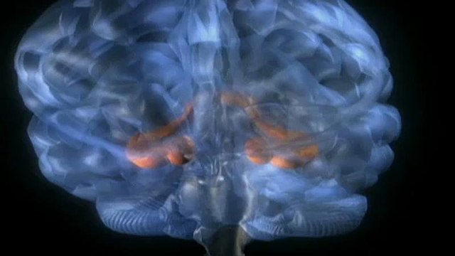 Új eljárás az epilepszia kezelésére