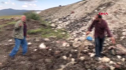 Kars Çocuklar Yaylada Su Kaynağı Buldu, Köylüler Sulu Kutlama Yaptı Hd