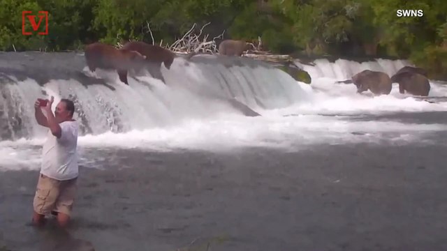 Watch as Man Reportedly Enters Restricted Area to Get Selfie with Bears