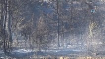 Tarım Arazisinde Başlayan Yangında 15 Hektar Alan Zarar Gördü