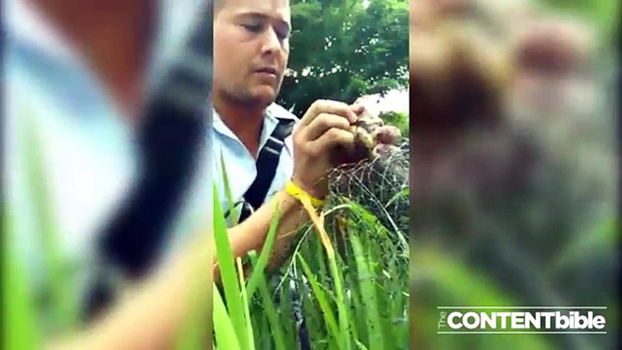 Mail Man Saves a Chipmunk s Life!