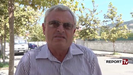 Parazitët dëmtojnë pemët dekorative në Elbasan, qytetarët: Ka rrezik infektimi