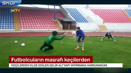 Isparta’da amatör kulüp, futbolcu satıp, keçi aldı
