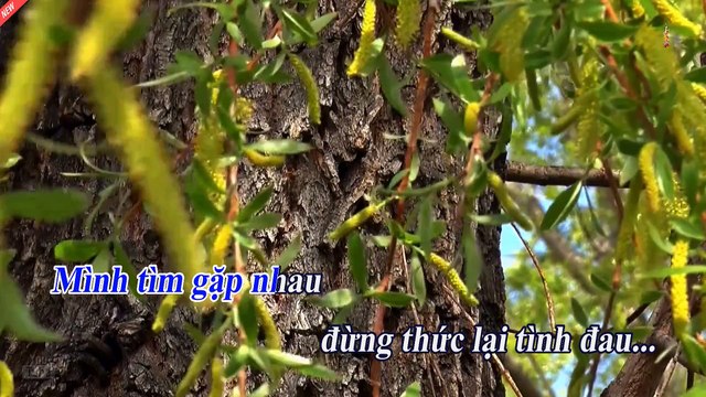 [KARAOKE] Tìm Lại Người Xưa Tone Nam Long Nhật - Nhạc VHD Chất Lượng Cao