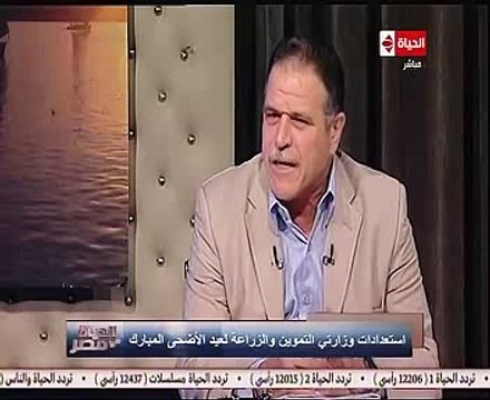 القابضة للصناعات الغذائية : لدينا 214 ألف رأس ماشية و16 ألف بالمحاجر جاهزين للذبح