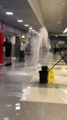 L'eau jaillit du sol en plein aéroport à New York JFK