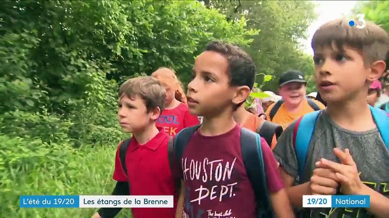 Découverte : les étangs de la Brenne