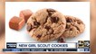 Girl Scouts debut new cookie for 2019