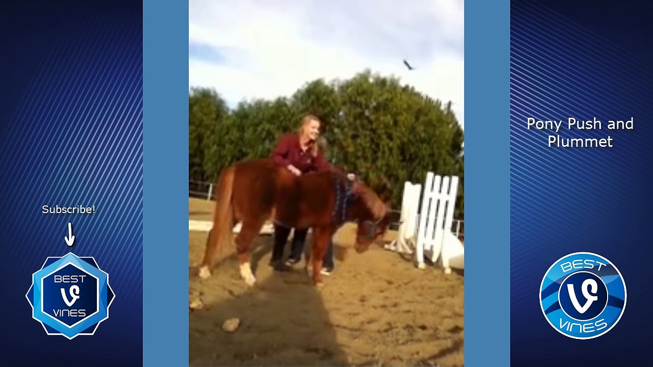 Try Not To Laugh Challenge   Funny Animal Fails Compilation - Best Cat, Dog Fail Vines 2017