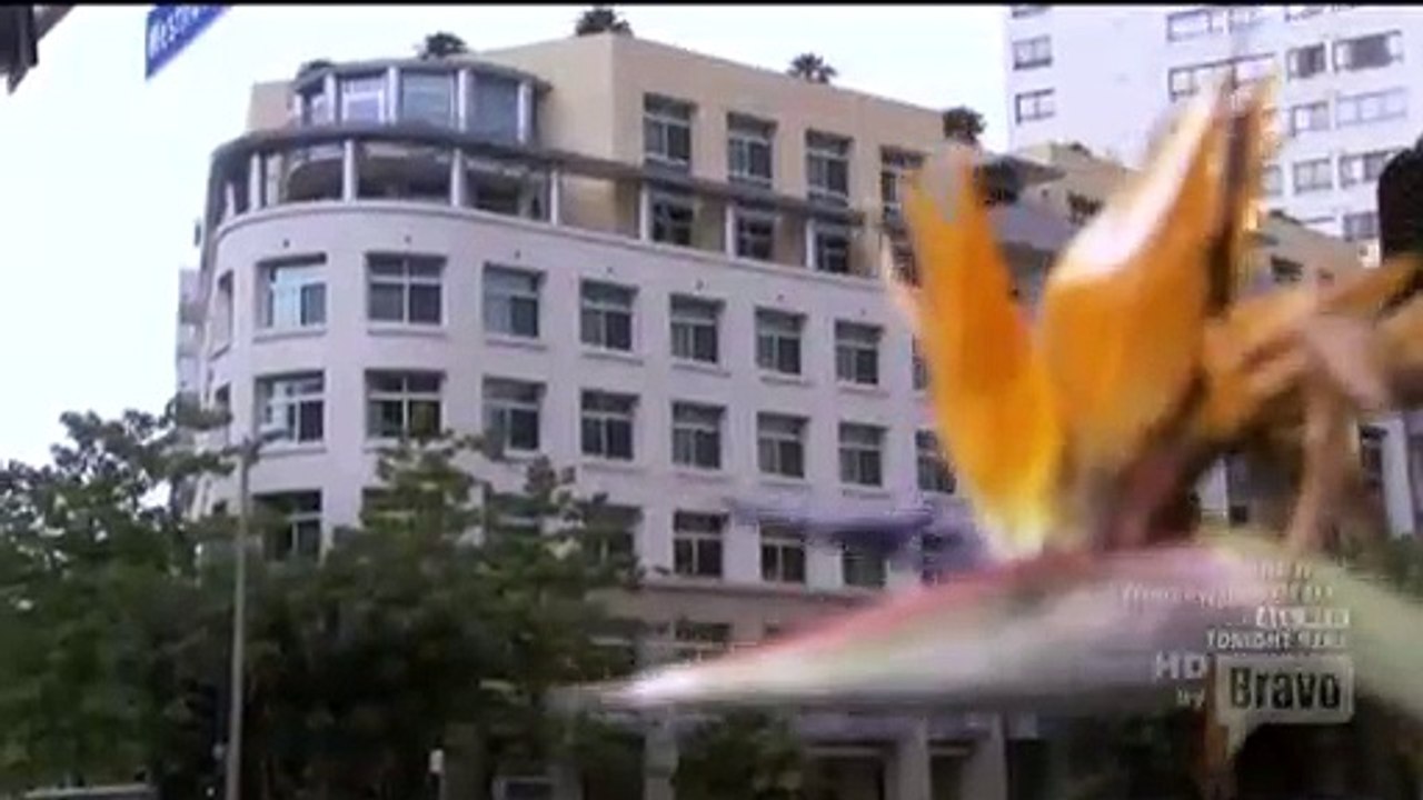 The Rachel Zoe Project S 03 E 07 Zoe Vs Zoe