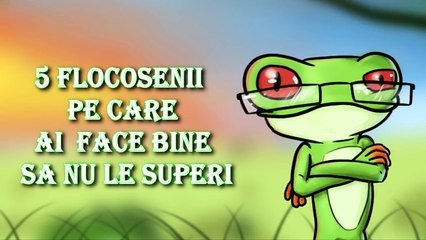 5 Flocoșenii Pe Care Ai Face Bine Să Nu Le Superi